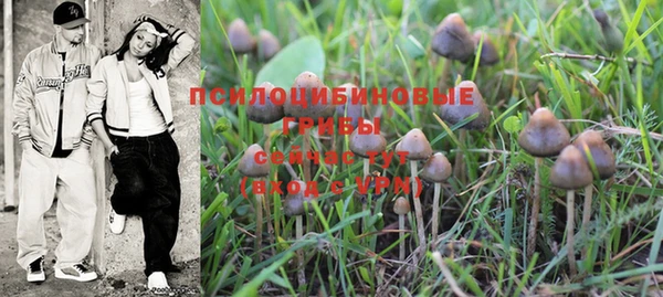 марки nbome Заводоуковск