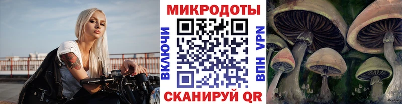 Псилоцибиновые грибы мицелий  Купить закладки  Кузнецк 